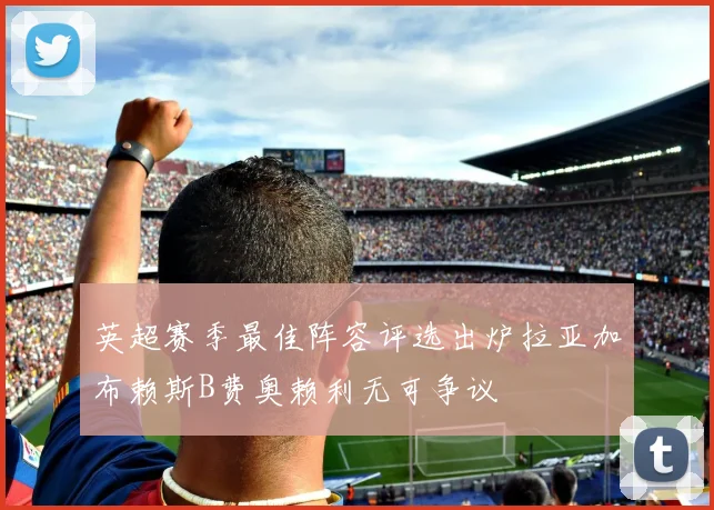 英超赛季最佳阵容评选出炉拉亚加布赖斯B费奥赖利无可争议