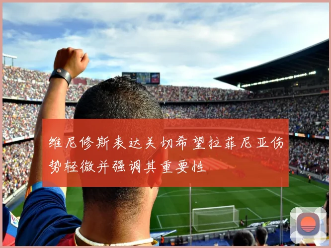 维尼修斯表达关切希望拉菲尼亚伤势轻微并强调其重要性