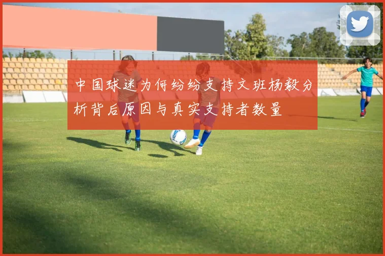 中国球迷为何纷纷支持文班杨毅分析背后原因与真实支持者数量
